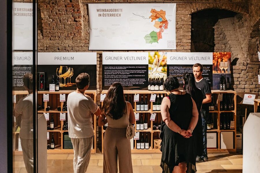 Vienna: Wine Tasting Experience in a Private Wine Cellar - Austrian delicacies, the pairing that turns wine into a meal