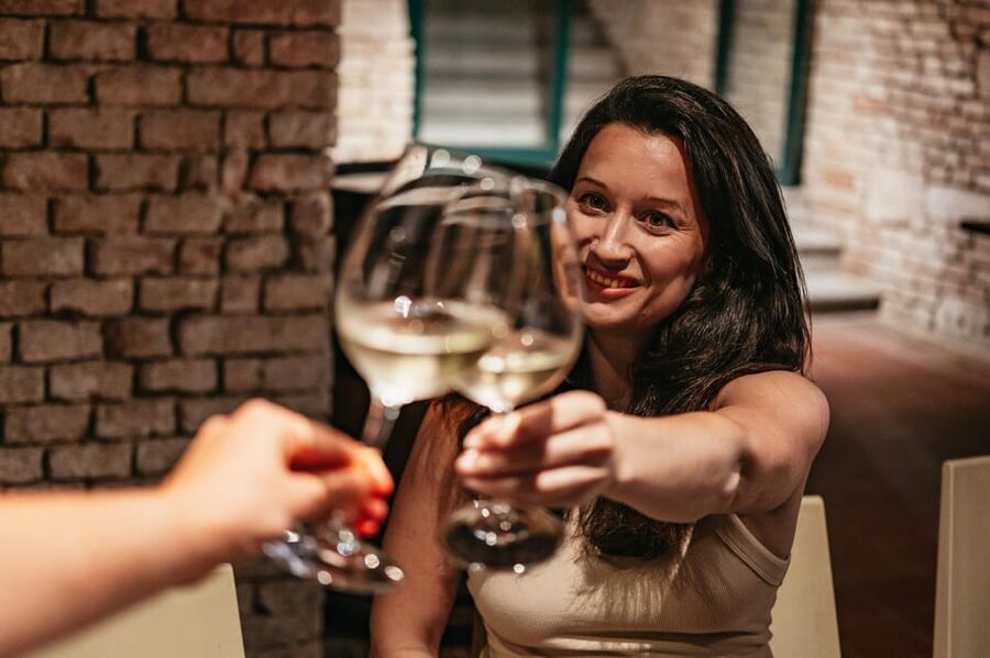 Vienna: Wine Tasting Experience in a Private Wine Cellar - Guides, group size, and the vibe of asking questions