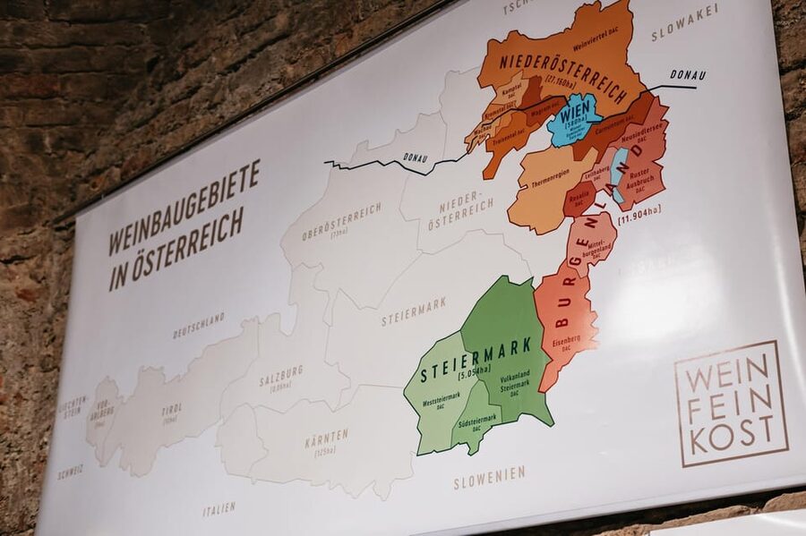 Vienna: Wine Tasting Experience in a Private Wine Cellar - Price and value at about $22 per person