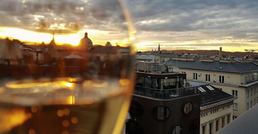 Vienna: Wine Tasting Tour - Key highlights I think you’ll care about