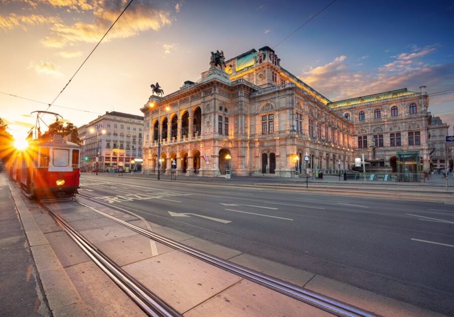 Vienna: Winery and Wine Tasting Tour with a Wine Expert - Key highlights I’d circle for your planning