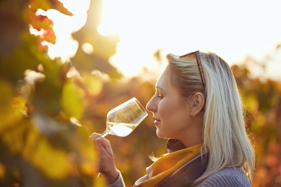 Vienna: Winery and Wine Tasting Tour with a Wine Expert - Vienna Wine Tasting That Actually Fits the City