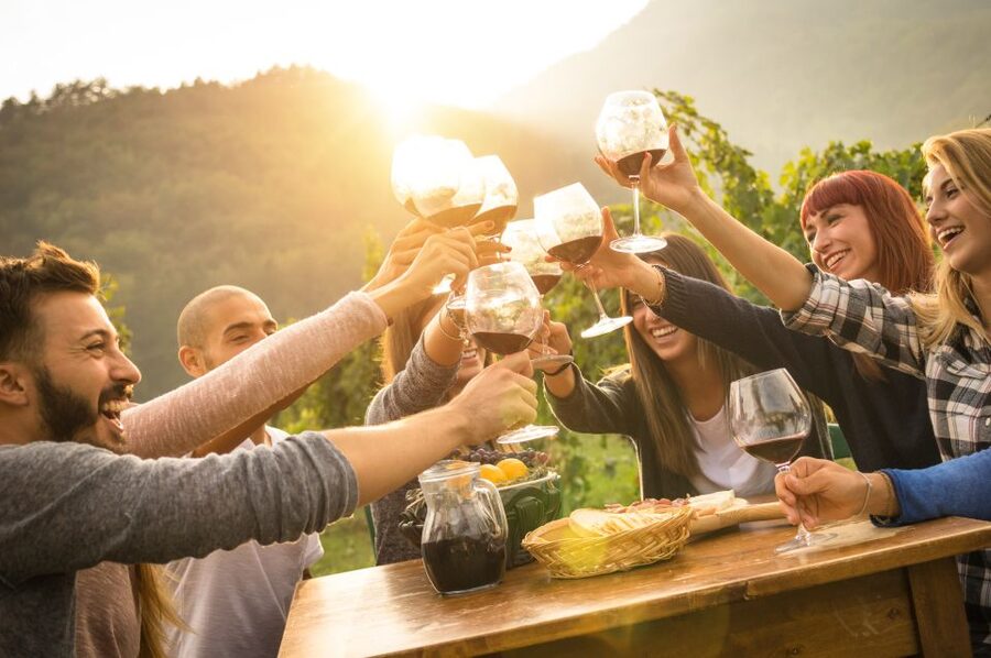 Vienna: Winery and Wine Tasting Tour with a Wine Expert - Vienna Sights You’ll Place in Context During the Longer Walk