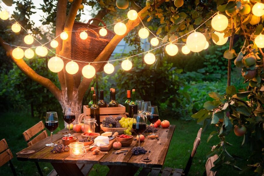 Vienna: Winery and Wine Tasting Tour with a Wine Expert - Price and Value: Is $309 Per Person Worth It?