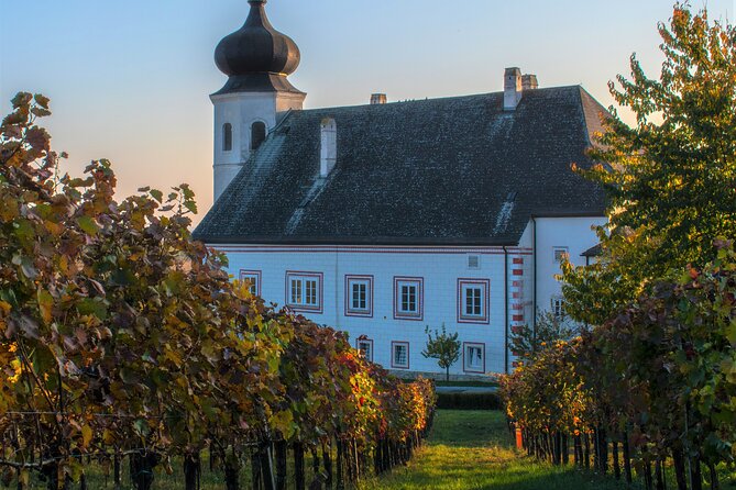 Vienna Woods Wine Tour - Wines, Vines & Good Times! - Comfort, Footwear, and What to Pack for Summer vs Winter