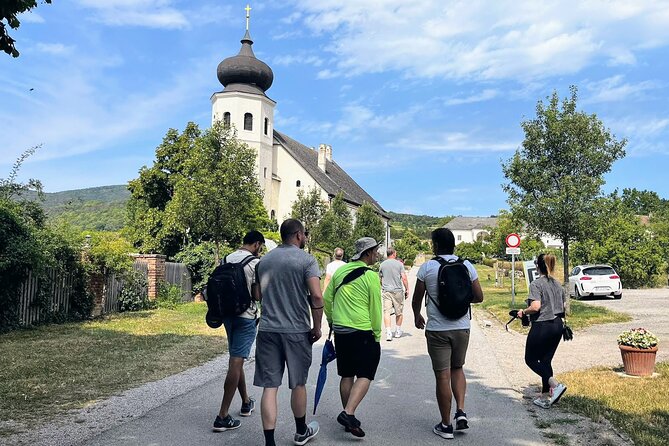 Vienna Woods Wine Tour - Wines, Vines & Good Times! - Stop 1 in Baden (Summer): The Vineyard Walk and Open-Air Tasting