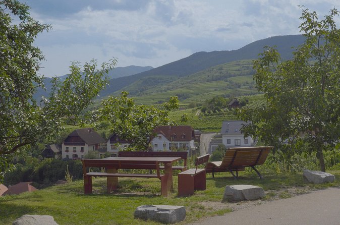 Wachau Discovery Tour - Aggstein castle ruins and the Judenplatz link for story fans
