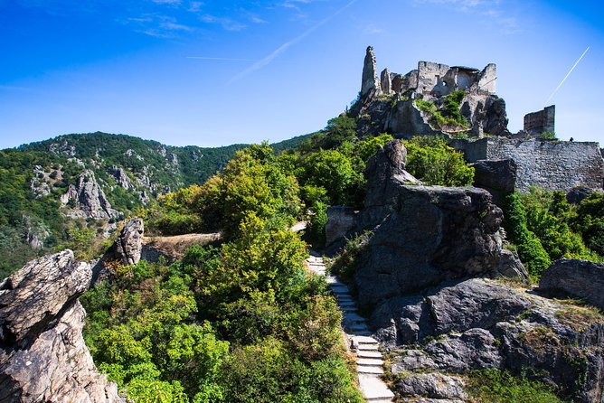 Wachau Valley Wine Tasting Bike Tour from Vienna - Lunch timing, cash, and the small things that change your day