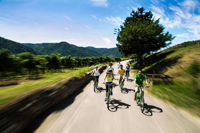 Wachau Valley Wine Tasting Bike Tour from Vienna - Who should book this Wachau wine bike tour