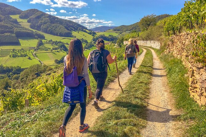 Wachau World Heritage Hike - Key Highlights Worth Booking