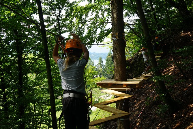 Waldseilpark Wörthersee - How the 2-Hour Experience Usually Flows and What to Expect Mentally