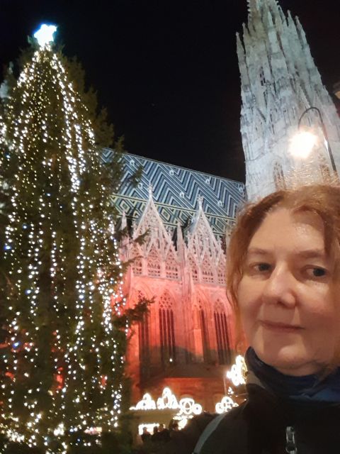 Wien: Tour with locals on the trails of the Christmas Tree - Rathausplatz Moments: Squares, Civic Vienna, and Holiday Setup