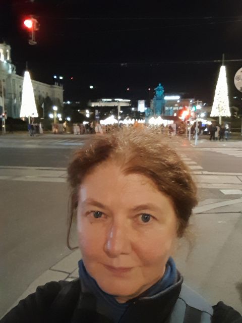 Wien: Tour with locals on the trails of the Christmas Tree - Choosing Your Finish: Am Hof Punch or Rathausplatz Atmosphere
