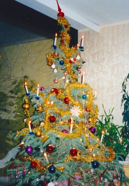 Wien: Tour with locals on the trails of the Christmas Tree - Who This Tour Suits Best in Vienna’s Advent Season