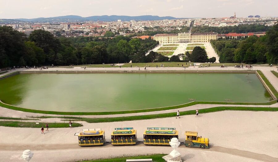 Wien: Tours with locals by public transport & walking - Key things to know
