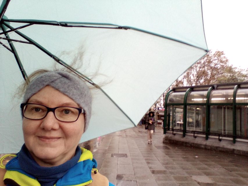 Wien: Tours with locals by public transport & walking - Otto Wagner’s influence, explained in a way you can use